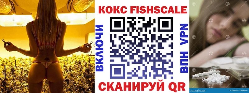 где можно купить наркотик  Новая Ладога  КОКАИН 99% 