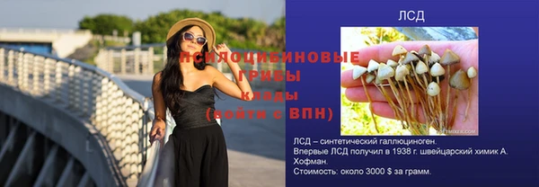 крисы Ижевск
