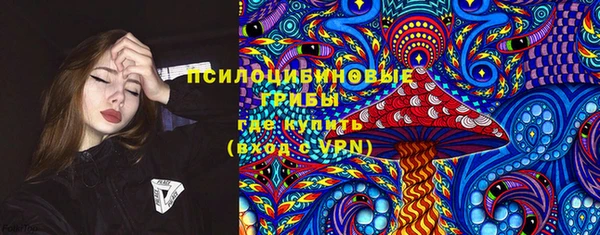 дживик Алексеевка