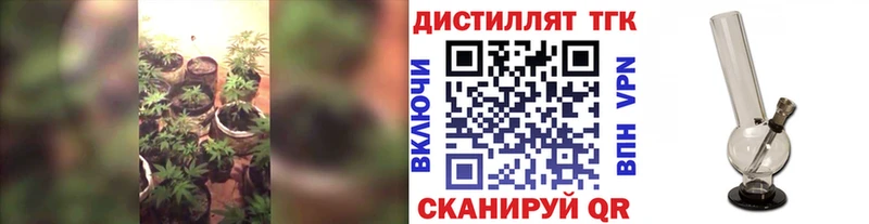 купить закладку  MEGA   ТГК вейп  Новая Ладога 