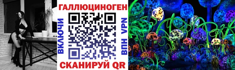 Галлюциногенные грибы мухоморы Новая Ладога