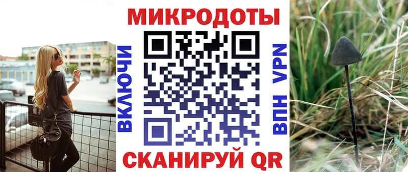 ОМГ ОМГ как зайти  купить   Новая Ладога  Псилоцибиновые грибы ЛСД 