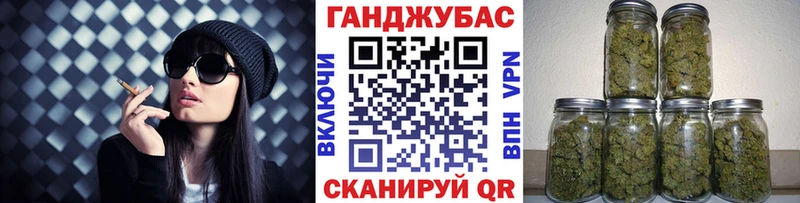 Конопля конопля Новая Ладога